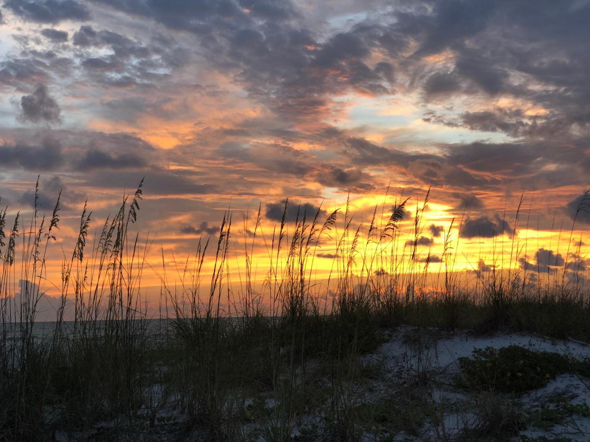 Summer Breeze - Weekly Beach Rental Clearwater Beach Exteriör bild